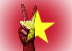 Hand showing peace sign with Vietnamese flag overlay, symbolizing unity and patriotism.